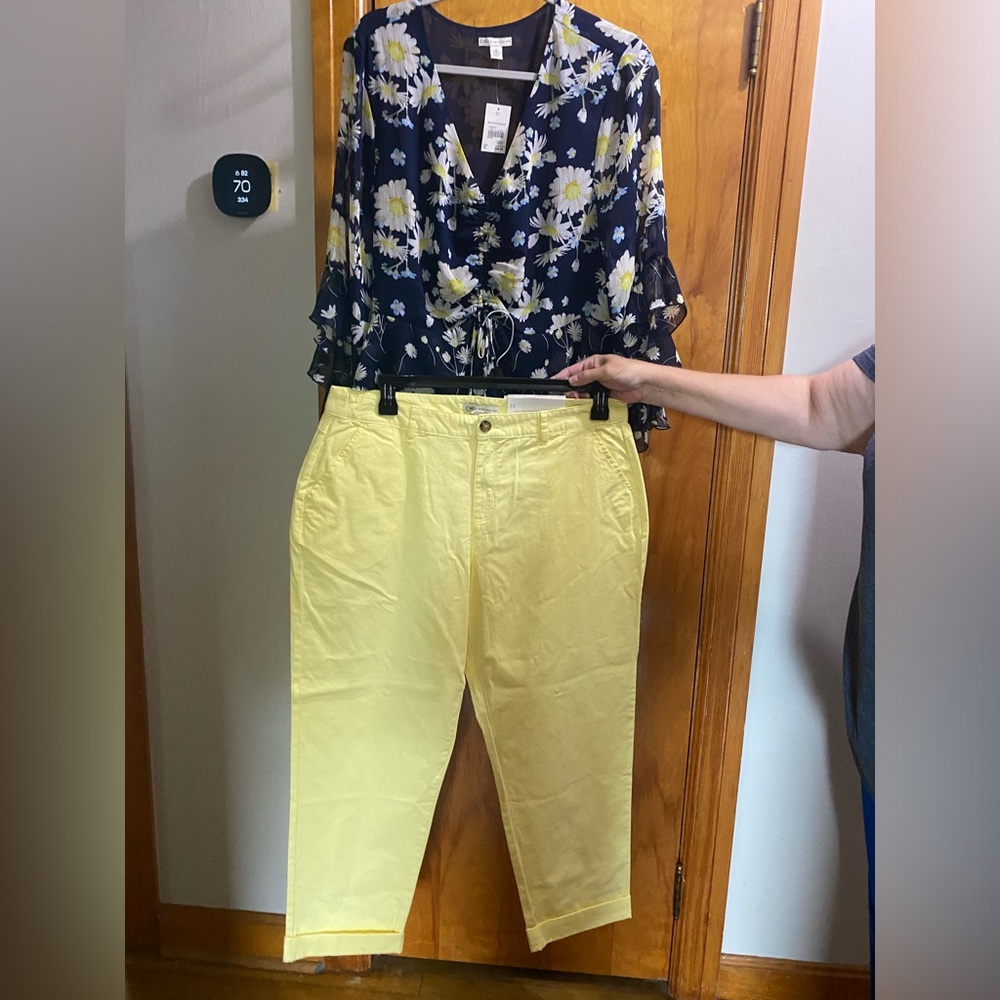 Springy Cato set